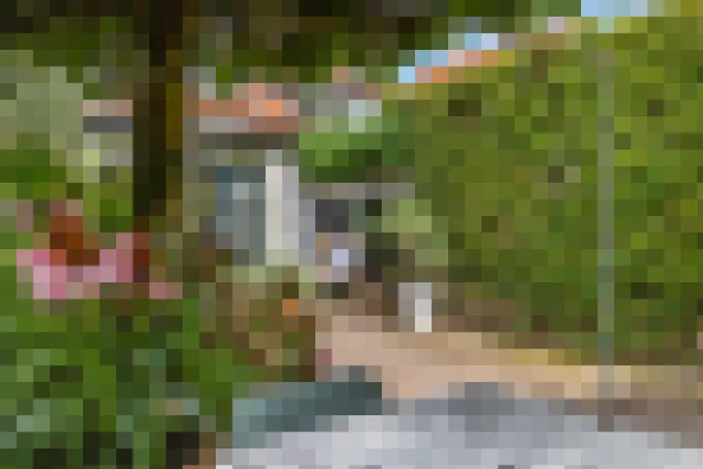 Burgemeester van den Boschstraat 38 Amerongen thumbnail 34