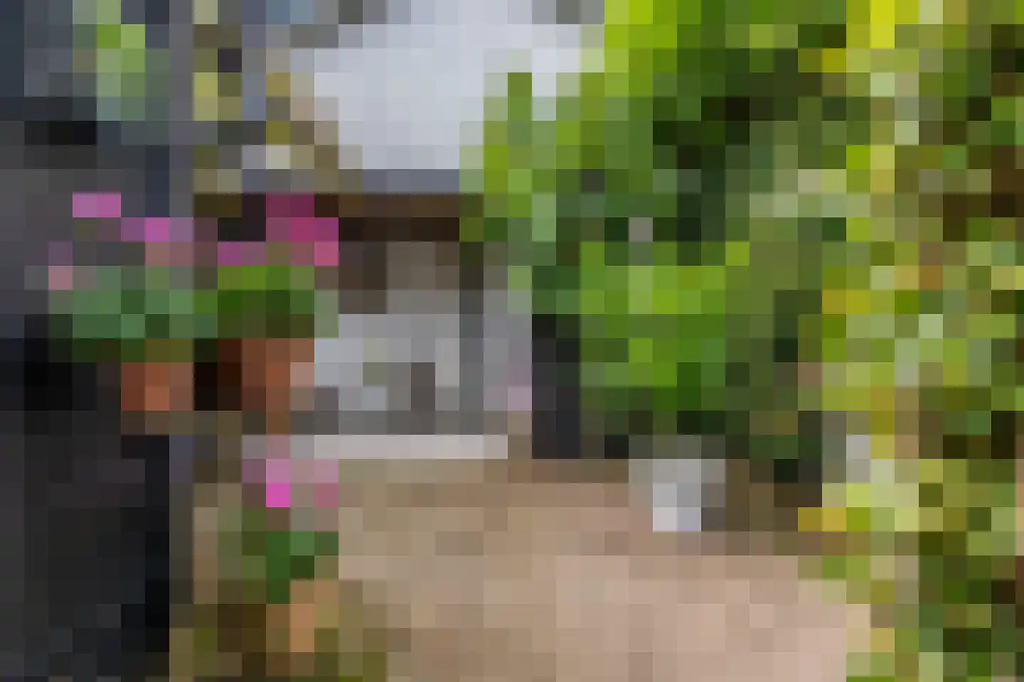 Burgemeester van den Boschstraat 38 Amerongen thumbnail 39