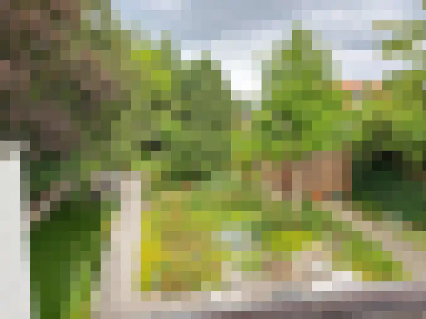 Burgemeester van den Boschstraat 53 Amerongen thumbnail 43