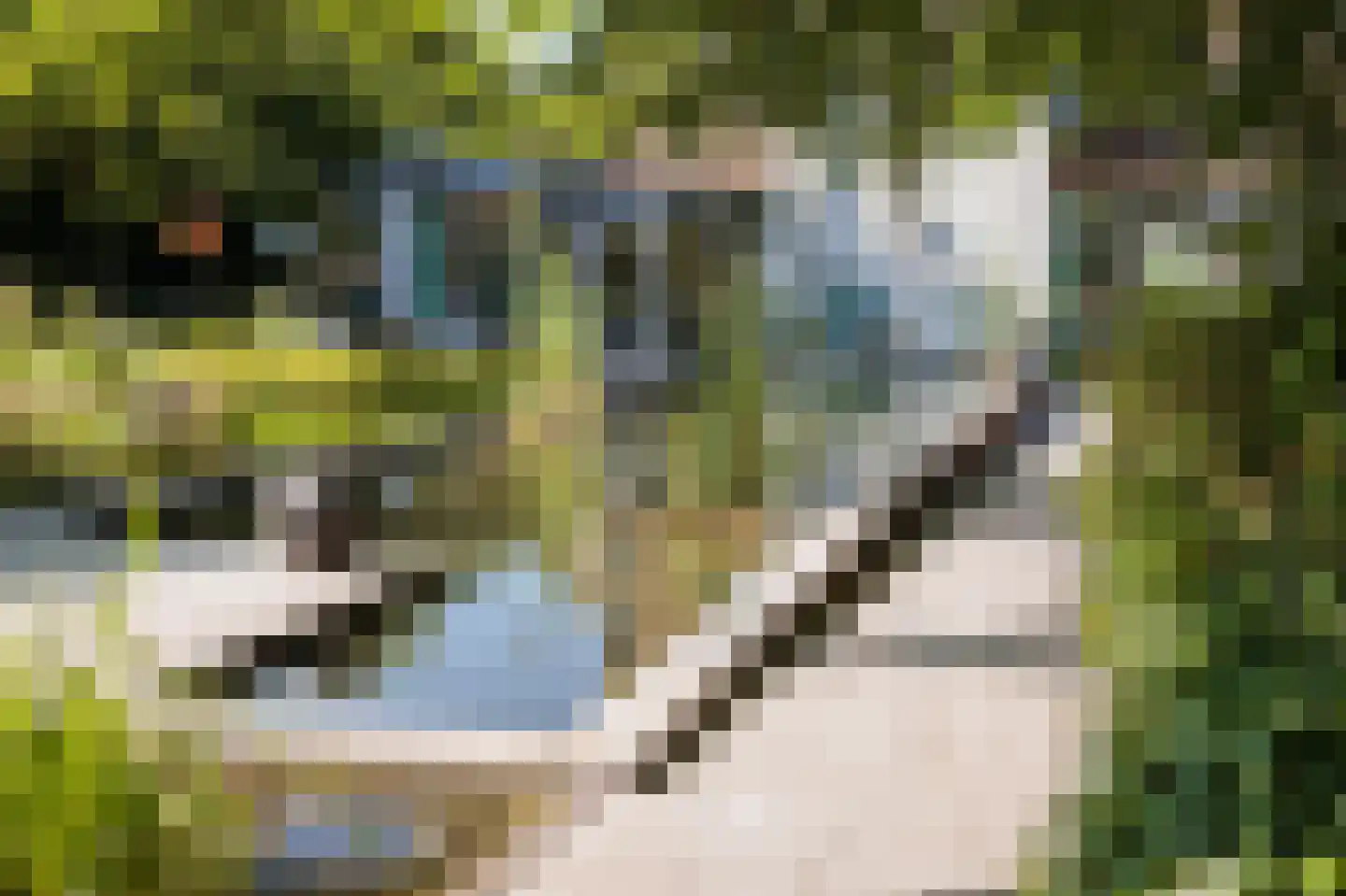 Burgemeester van den Boschstraat 53 Amerongen thumbnail 49