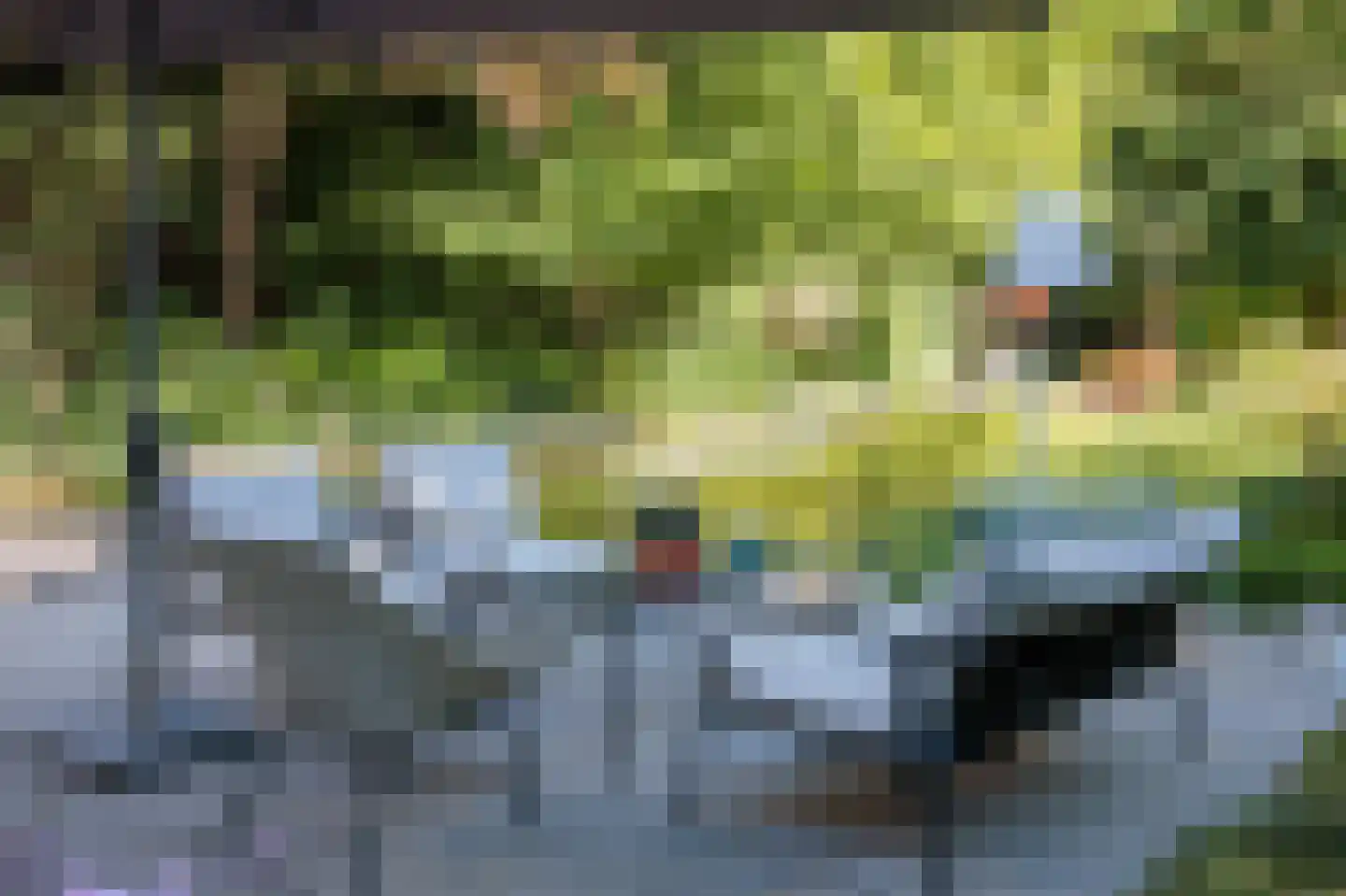 Burgemeester van den Boschstraat 53 Amerongen thumbnail 52