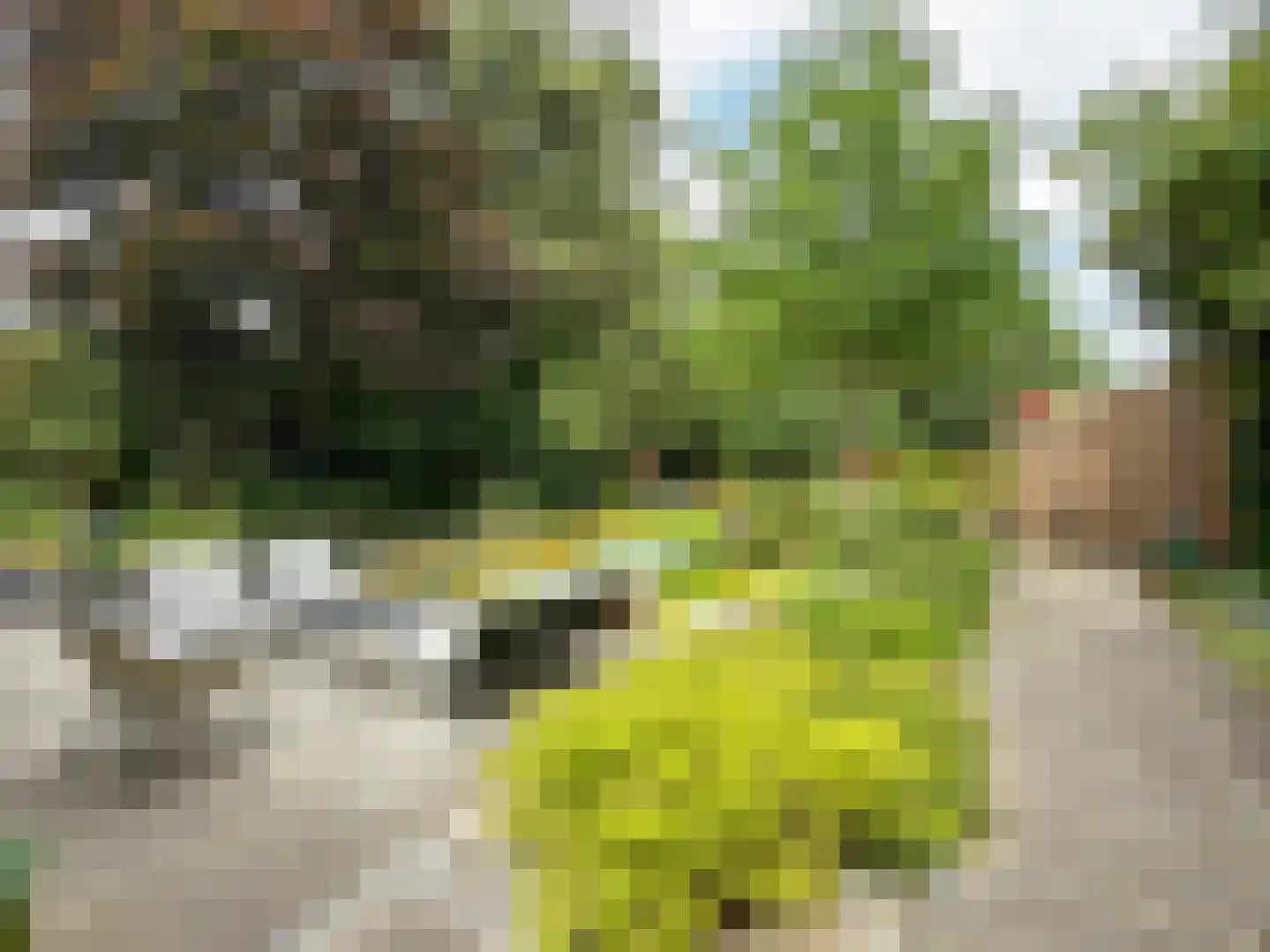 Burgemeester van den Boschstraat 53 Amerongen thumbnail 57