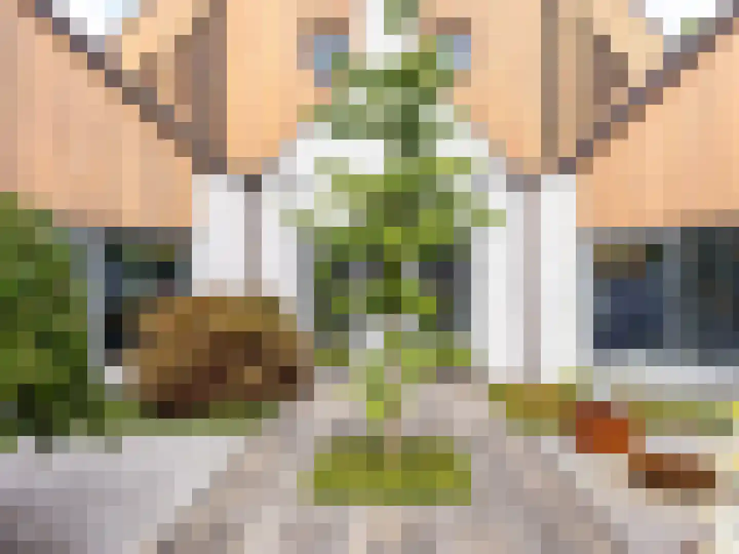 Burgemeester van den Boschstraat 53 Amerongen thumbnail 6