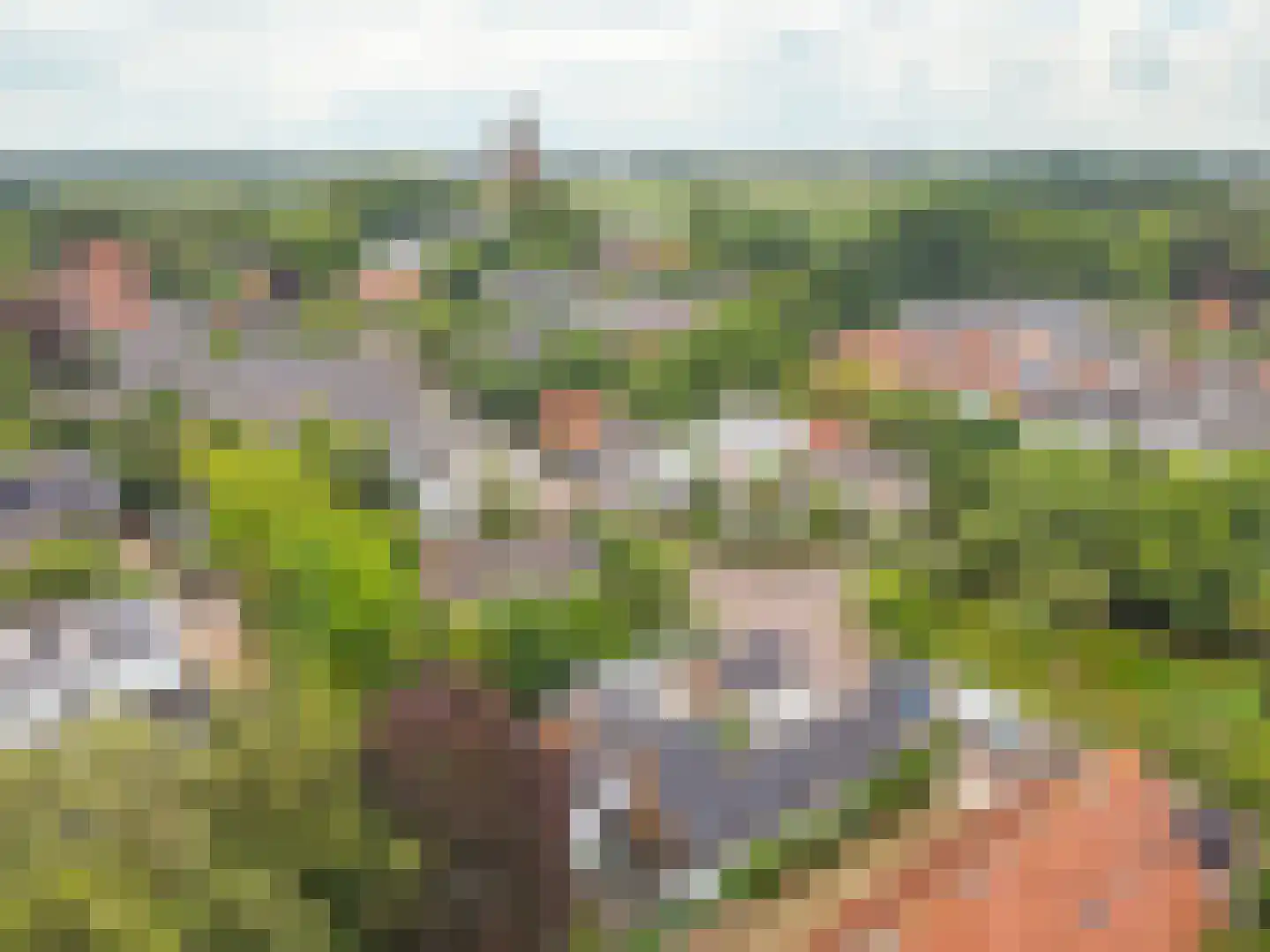 Burgemeester van den Boschstraat 53 Amerongen thumbnail 60