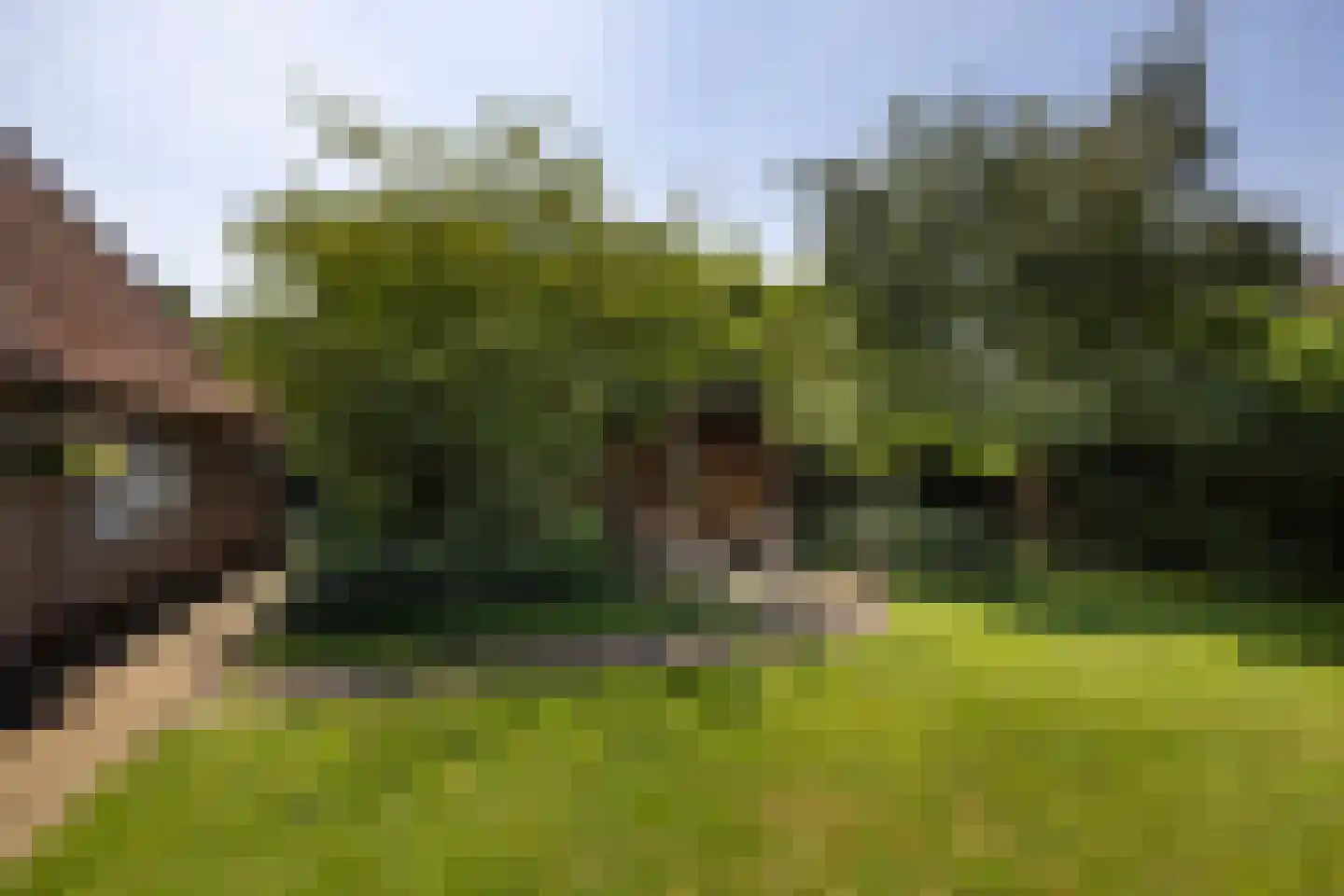 Burgemeester van den Boschstraat 55 Amerongen thumbnail 39