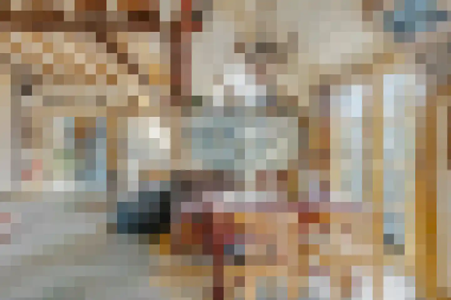 Burgemeester van den Boschstraat 64 Amerongen thumbnail 21