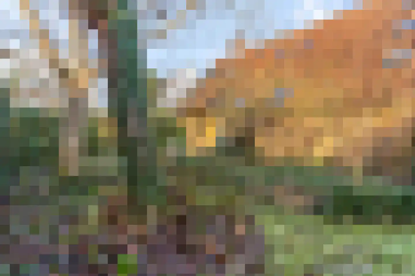 Burgemeester van den Boschstraat 64 Amerongen thumbnail 41
