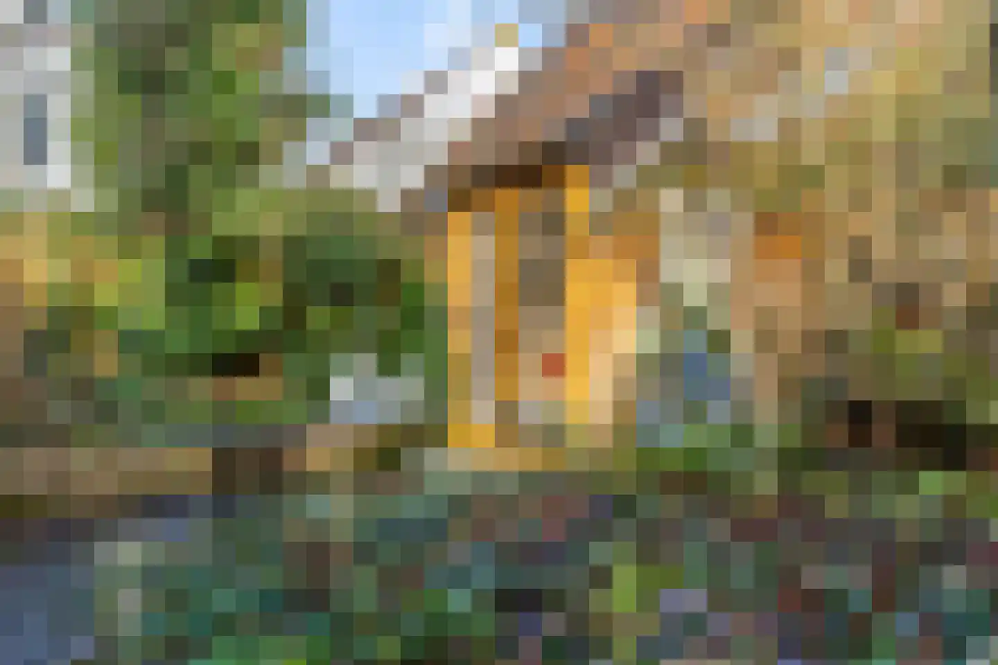 Burgemeester van den Boschstraat 64 Amerongen thumbnail 42