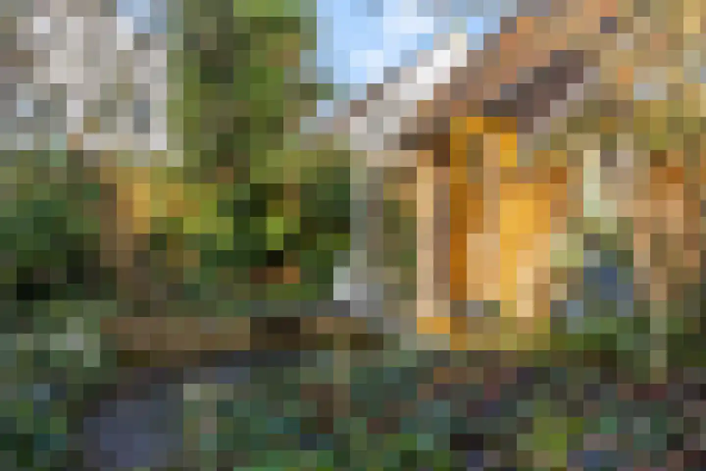 Burgemeester van den Boschstraat 64 Amerongen thumbnail 43