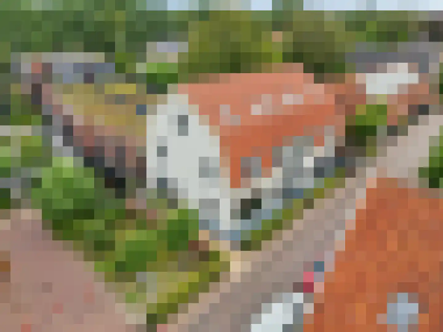 Burgemeester van den Boschstraat 79 a Amerongen thumbnail 33