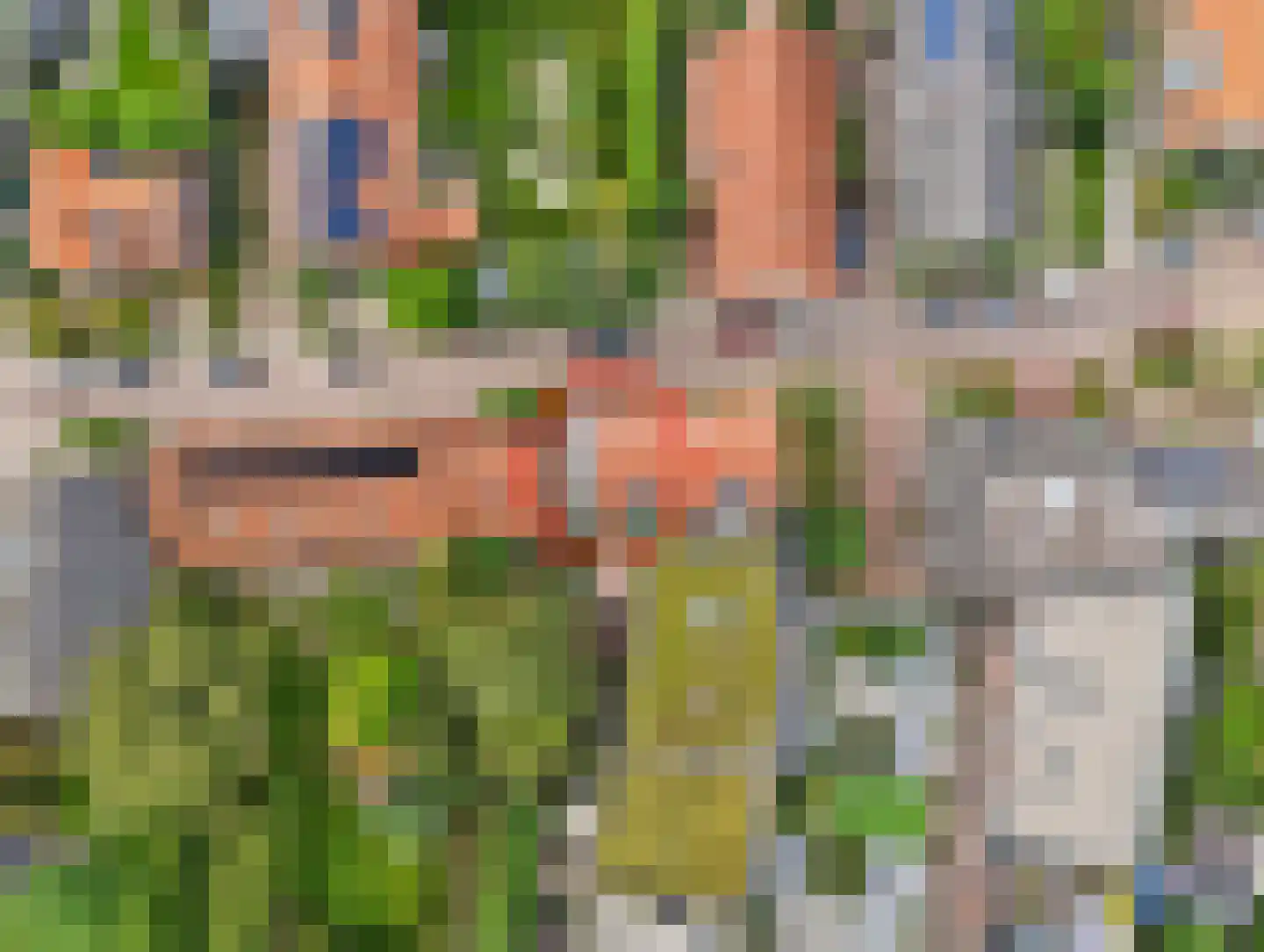 Burgemeester van den Boschstraat 79 a Amerongen thumbnail 35