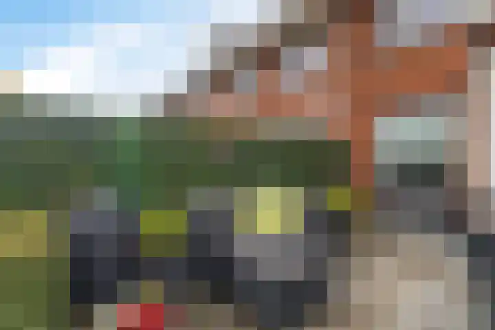 Burgemeester Van den Helmlaan 21 Maarssen thumbnail 20