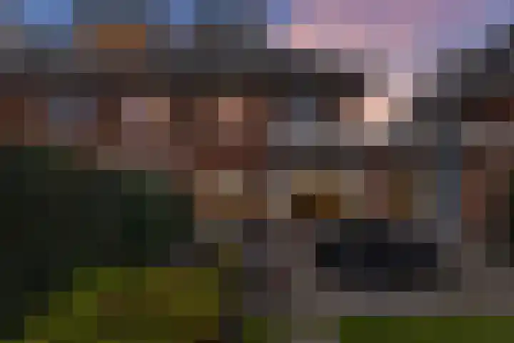 Burgemeester Van den Helmlaan 21 Maarssen thumbnail 38