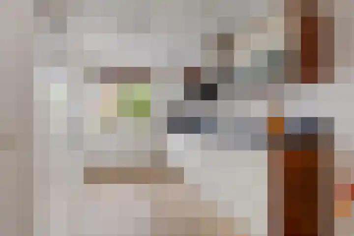 Burgemeester Van den Helmlaan 21 Maarssen thumbnail 8