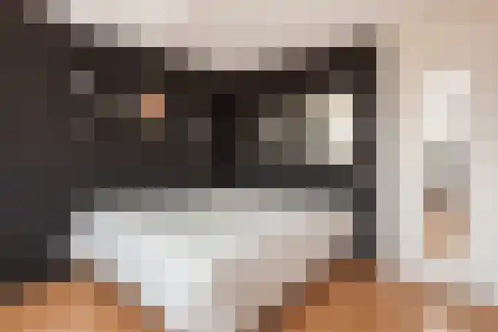 Burgemeester Van den Helmlaan 6 Maarssen thumbnail 21