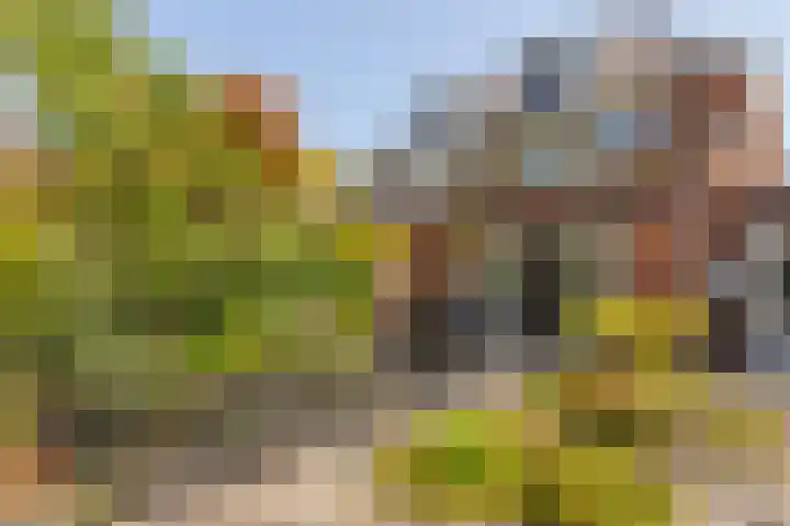 Burgemeester Van den Helmlaan 6 Maarssen thumbnail 38