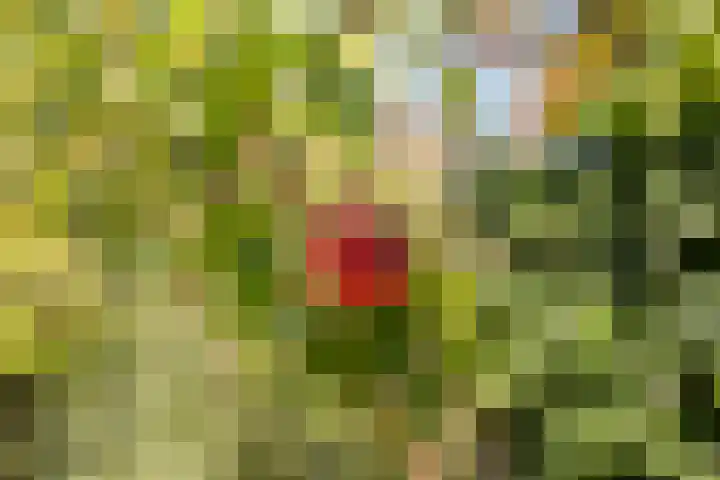 Burgemeester Van den Helmlaan 6 Maarssen thumbnail 39