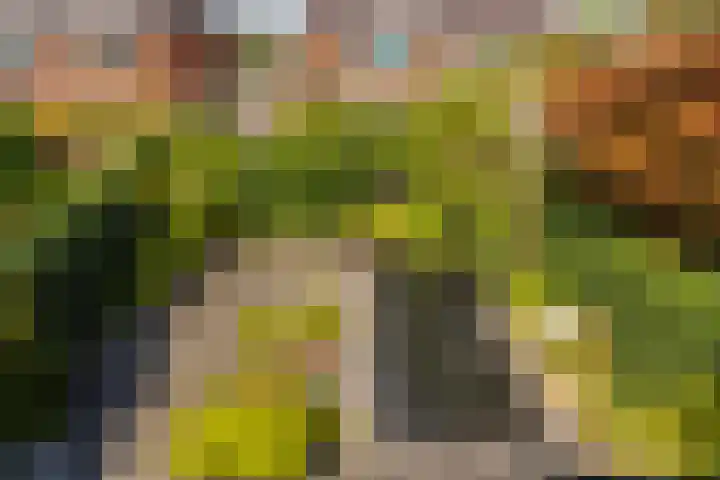 Burgemeester Van den Helmlaan 6 Maarssen thumbnail 4
