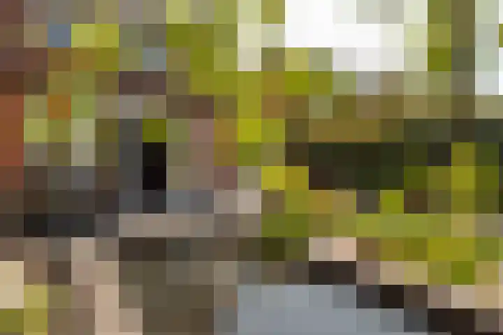Burgemeester Van den Helmlaan 6 Maarssen thumbnail 40