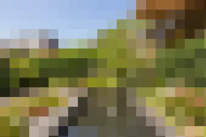 Burgemeester Van den Helmlaan 6 Maarssen thumbnail 42