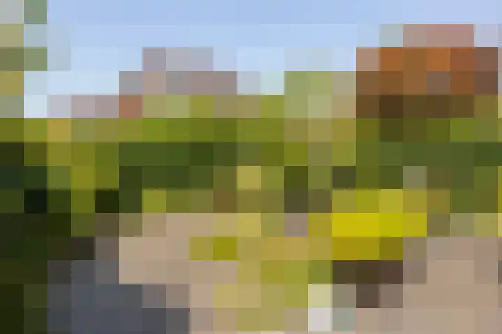 Burgemeester Van den Helmlaan 6 Maarssen thumbnail 43