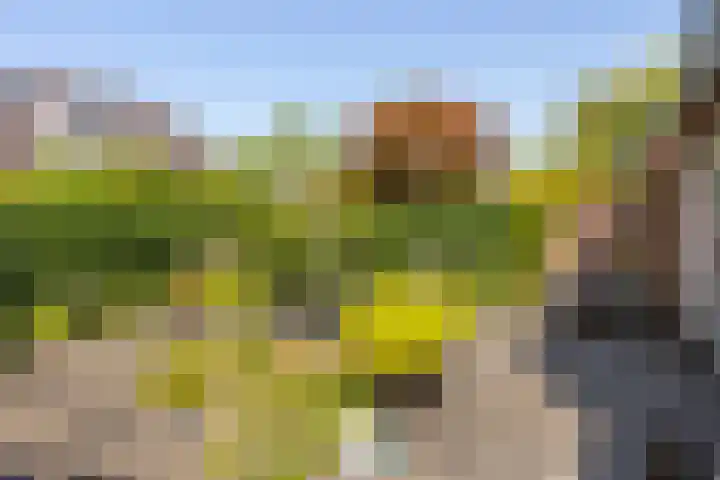 Burgemeester Van den Helmlaan 6 Maarssen thumbnail 44