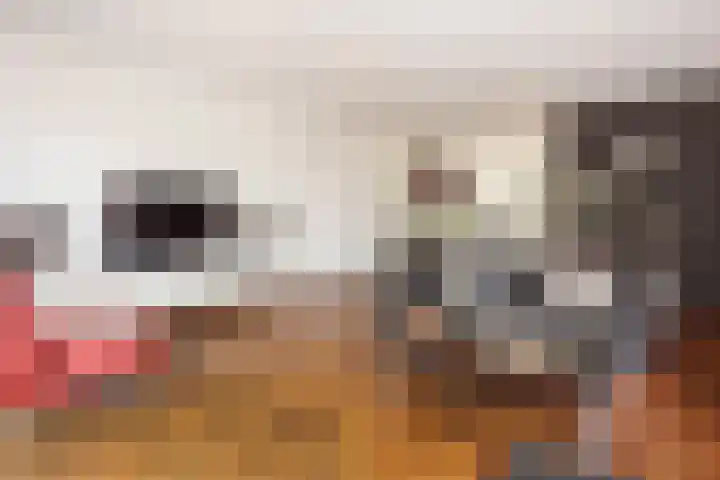 Burgemeester Van den Helmlaan 6 Maarssen thumbnail 7