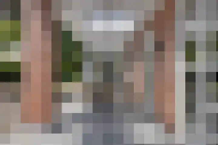 Burgemeester van den Heuvelstraat 14 Lieshout thumbnail 47