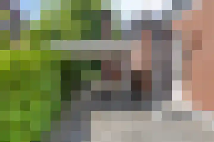 Burgemeester van den Heuvelstraat 14 Lieshout thumbnail 8