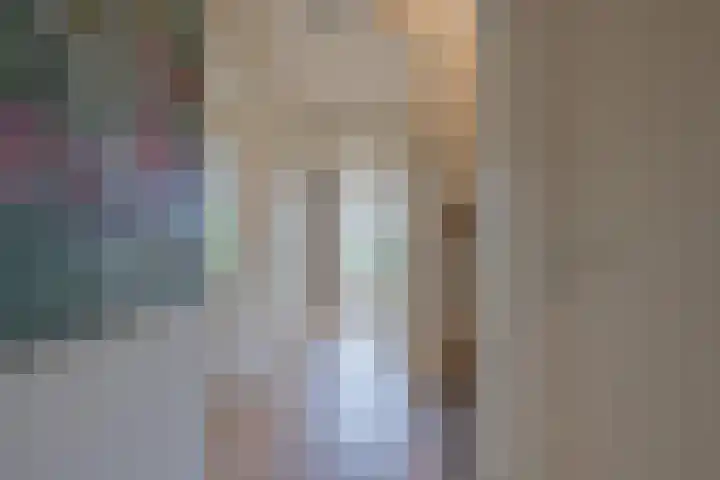 Burgemeester Van den Steenstraat 10 Tiel thumbnail 8