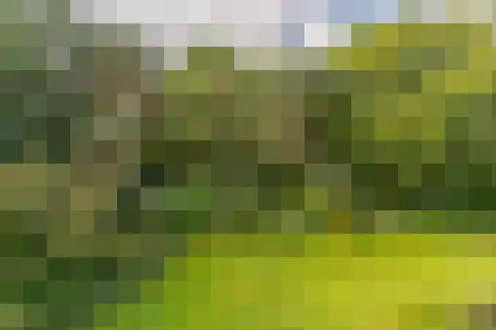 Burgemeester Van der Borchlaan 2 K Bilthoven thumbnail 16