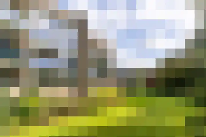 Burgemeester Van der Borchlaan 2 K Bilthoven thumbnail 31