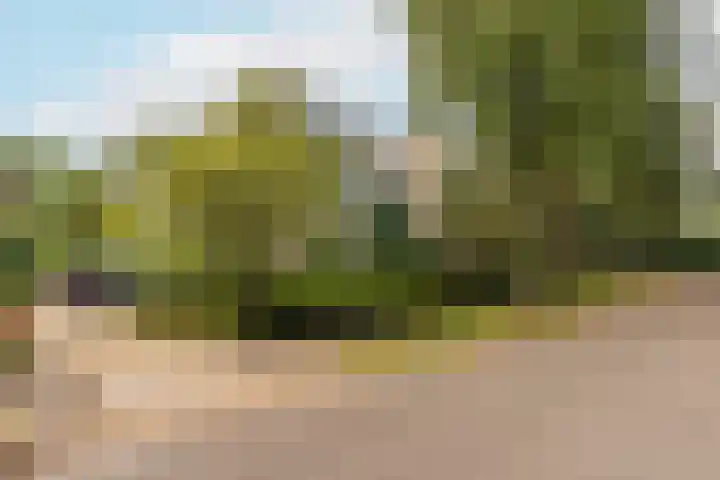 Burgemeester Van der Borchlaan 2 K Bilthoven thumbnail 33