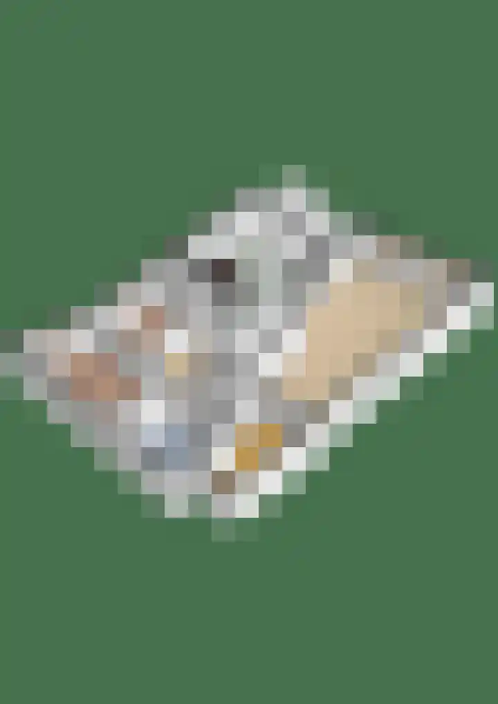 Burgemeester Van der Borchlaan 2 K Bilthoven thumbnail 37