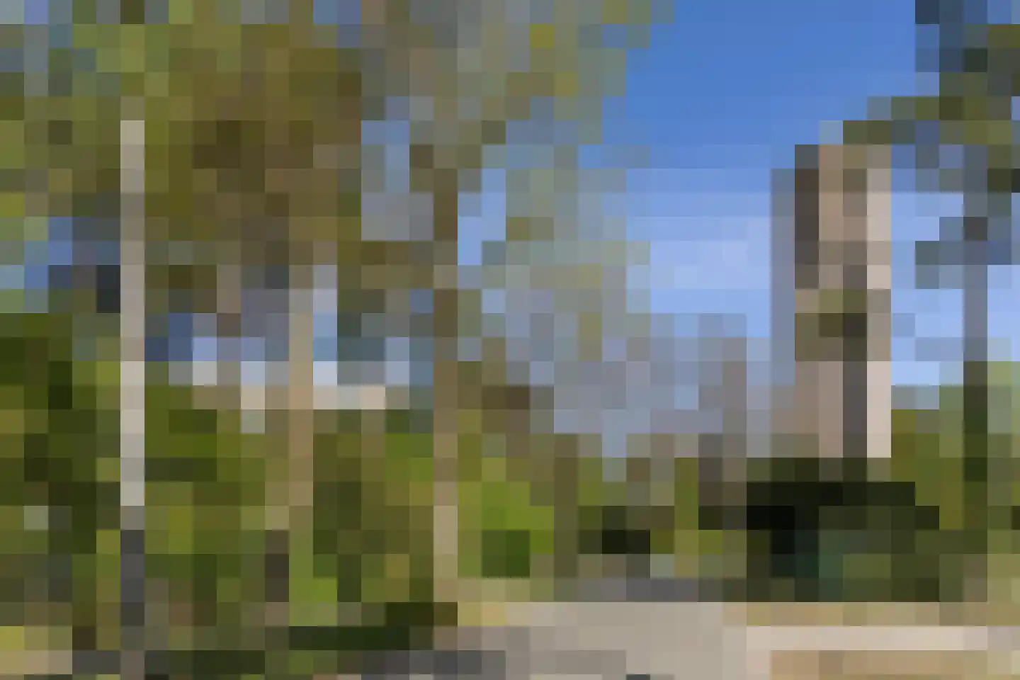 Burgemeester Van der Borchlaan 4 A Bilthoven thumbnail 46