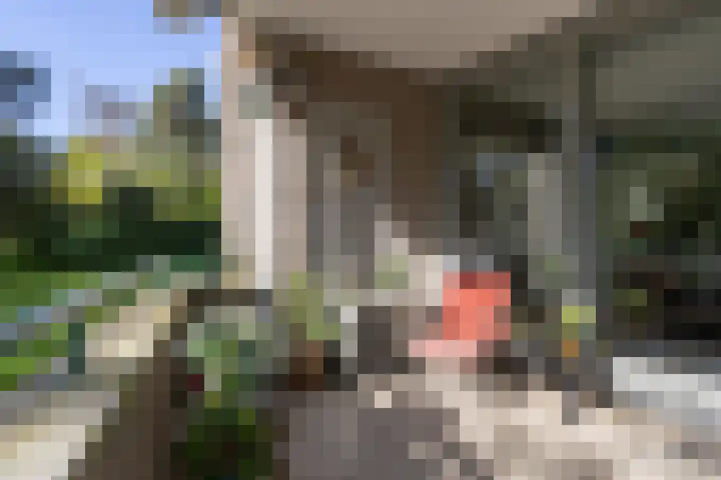 Burgemeester Van der Borchlaan 4 A Bilthoven thumbnail 9