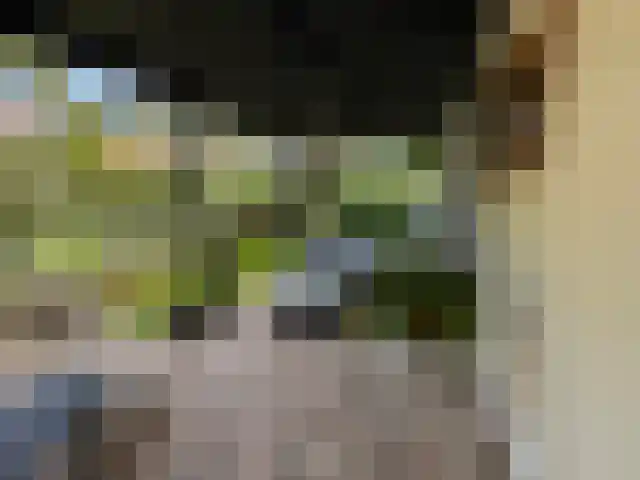 Burgemeester Van der Borchlaan 7 Bilthoven thumbnail 12