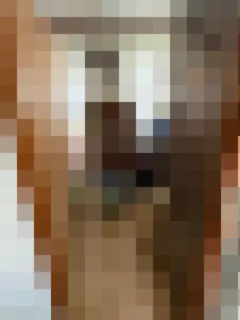 Burgemeester Van der Borchlaan 7 Bilthoven thumbnail 8