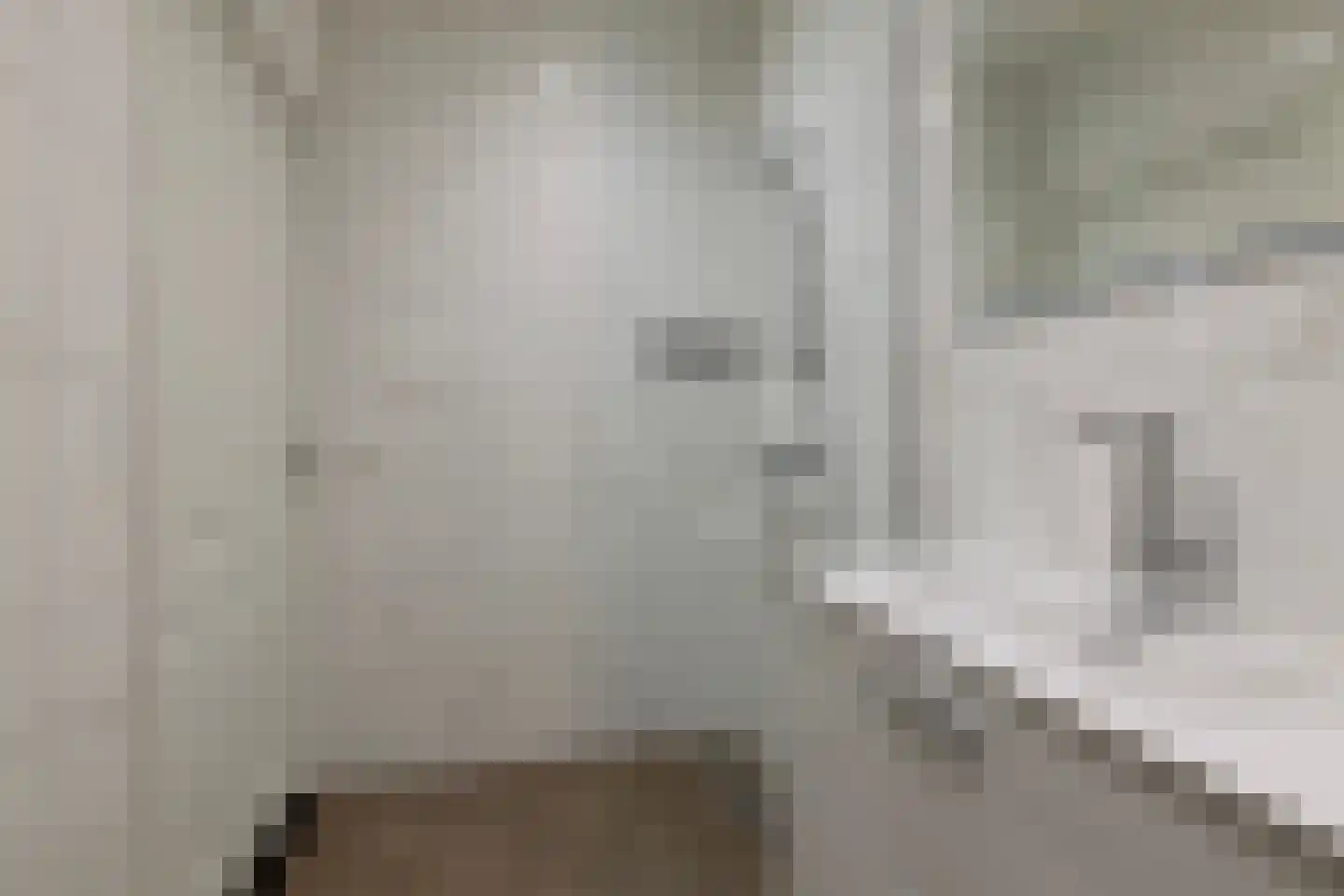 Burgemeester van der Borchstraat 15 Holten thumbnail 20