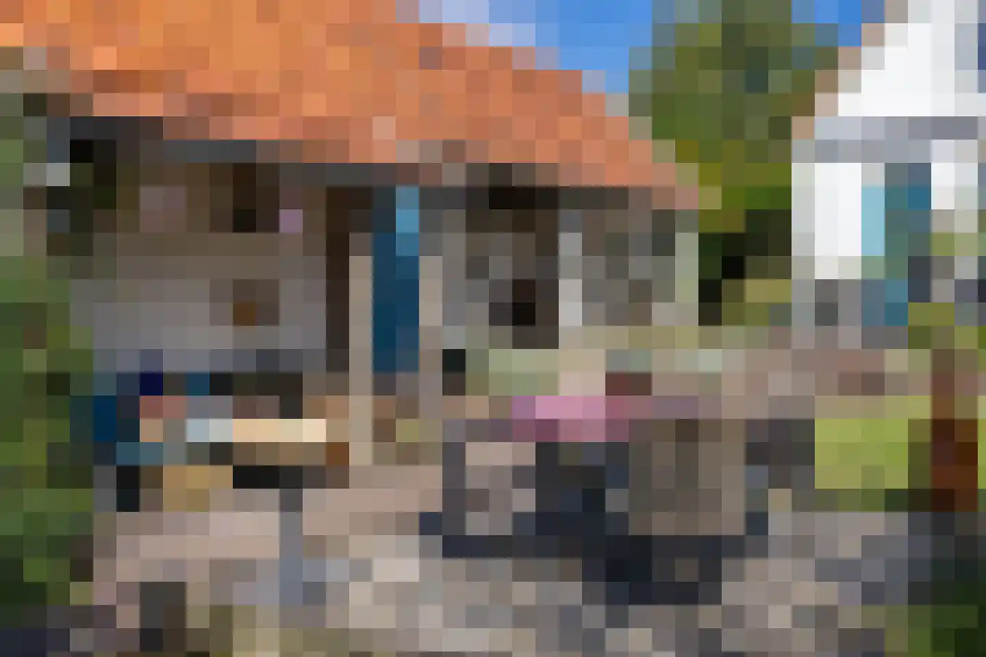 Burgemeester van der Borchstraat 18 Holten thumbnail 31