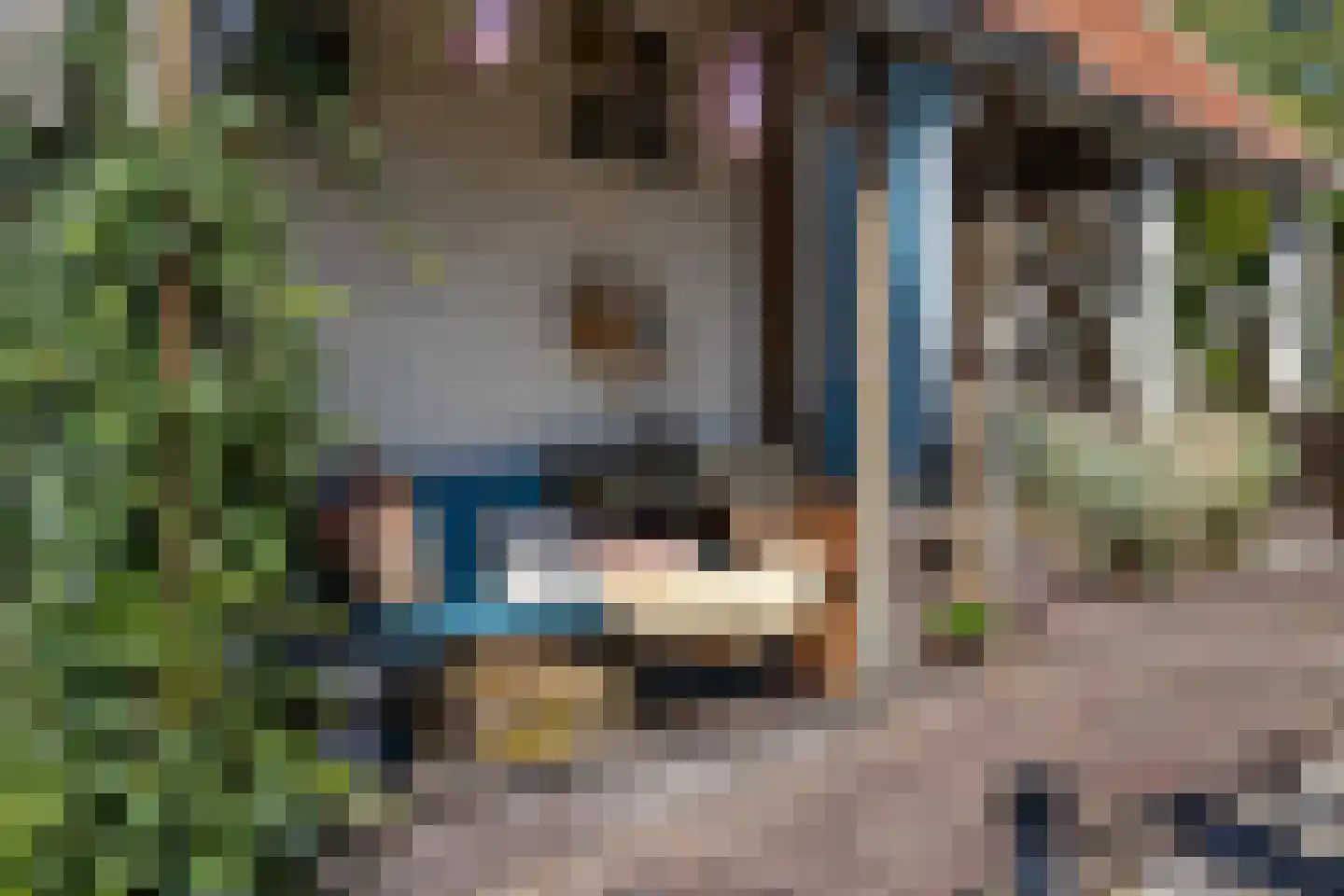 Burgemeester van der Borchstraat 18 Holten thumbnail 32