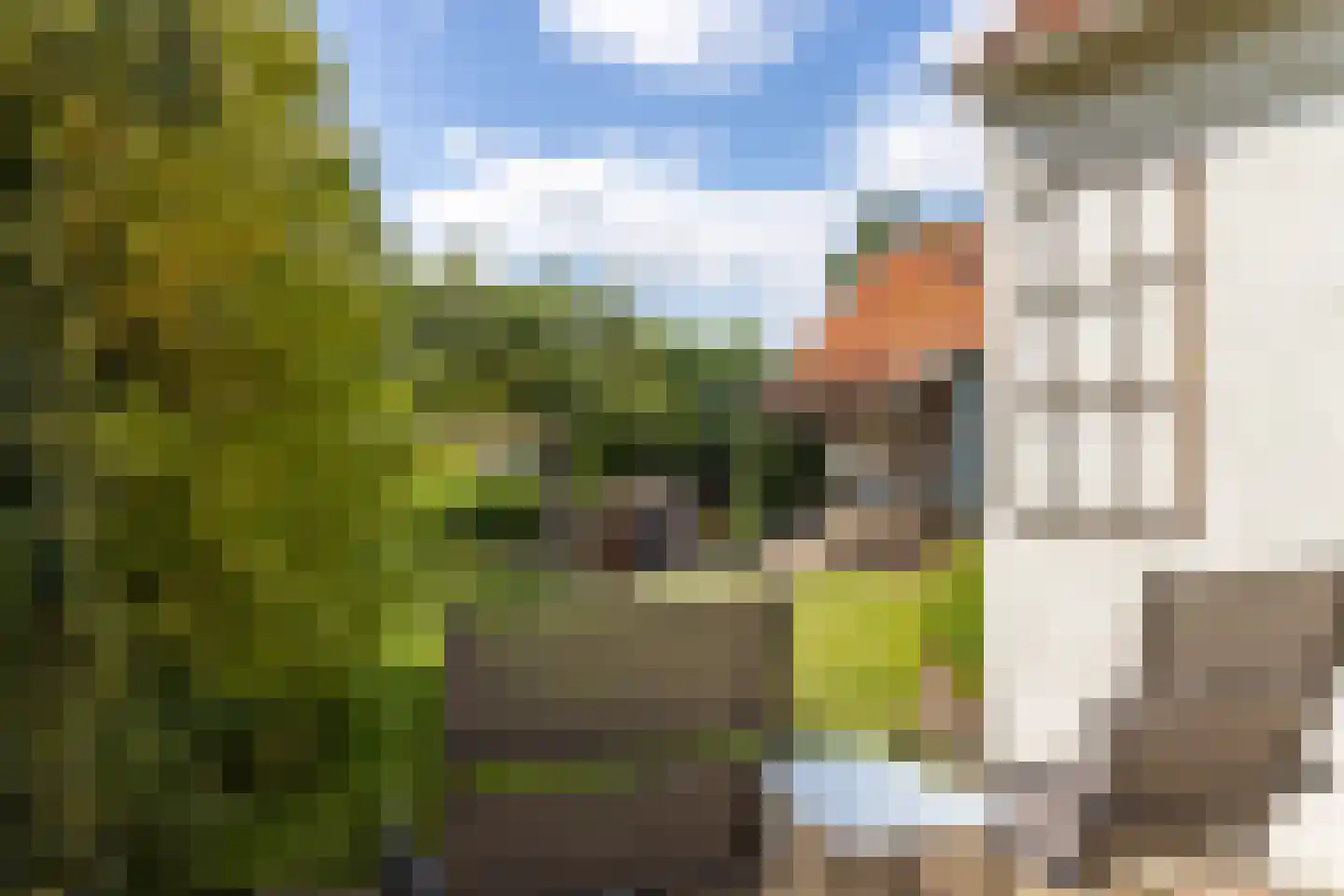 Burgemeester van der Borchstraat 18 Holten thumbnail 36
