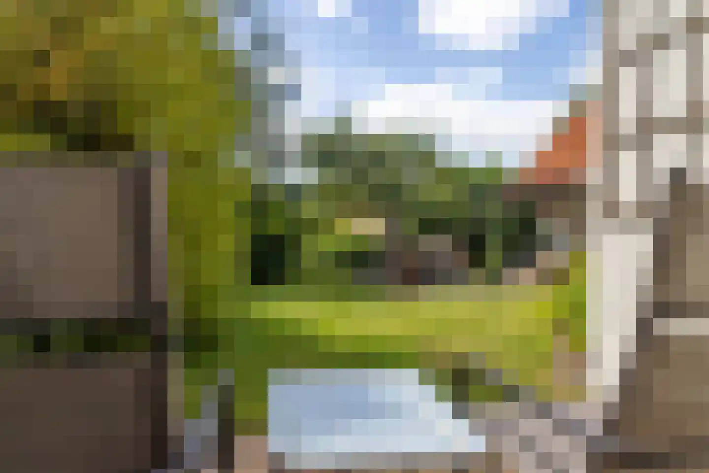 Burgemeester van der Borchstraat 18 Holten thumbnail 37
