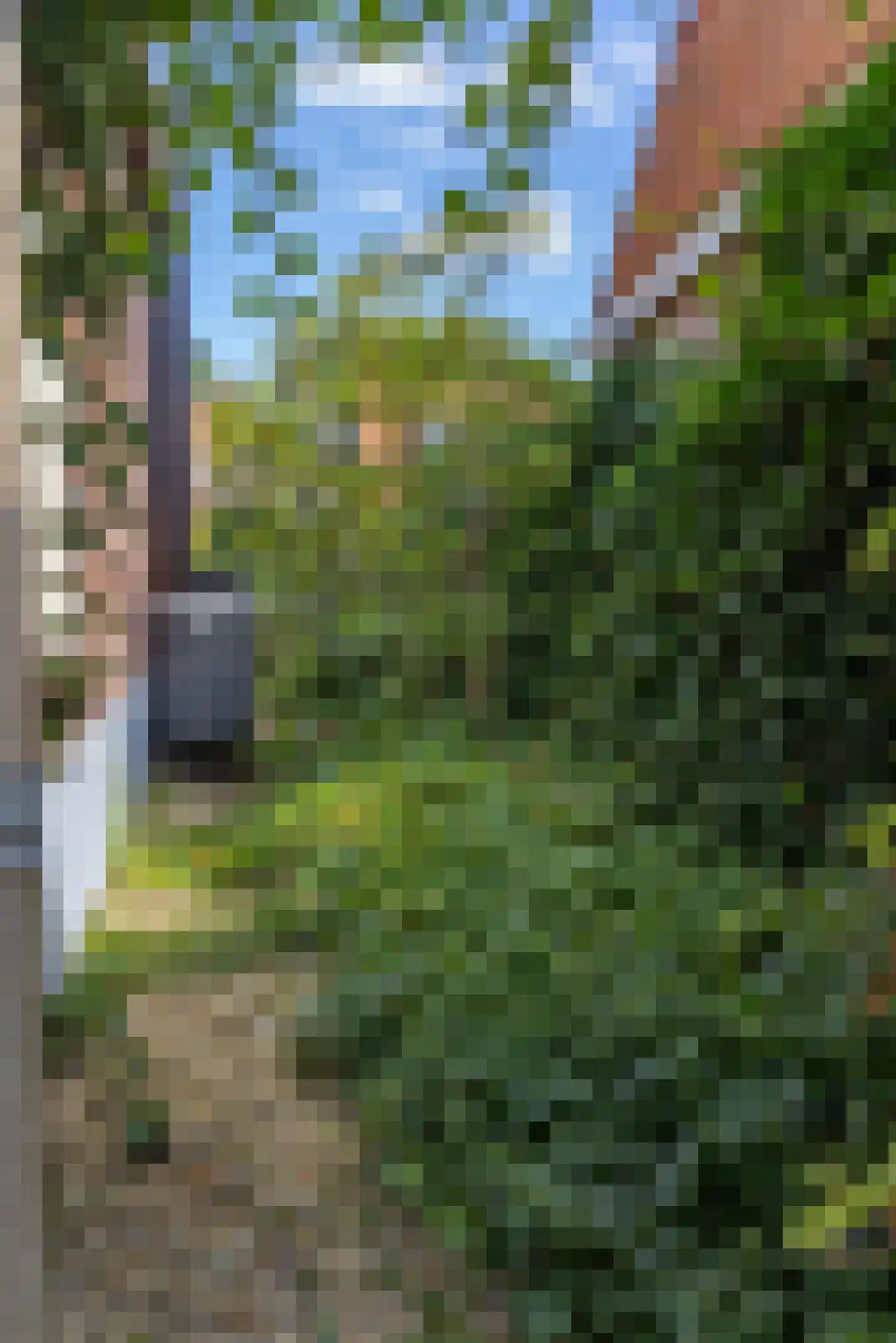 Burgemeester van der Borchstraat 18 Holten thumbnail 45