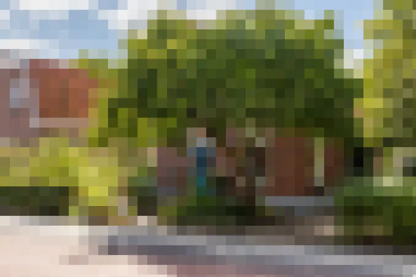 Burgemeester van der Borchstraat 18 Holten thumbnail 48