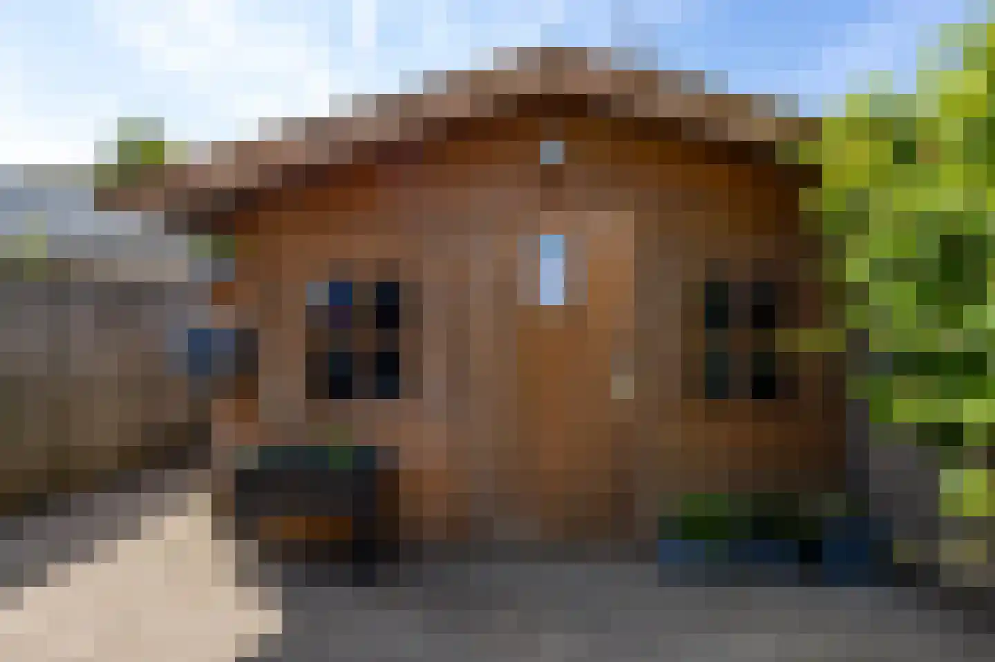Burgemeester van der Bruggelaan 6 Giessenburg thumbnail 36