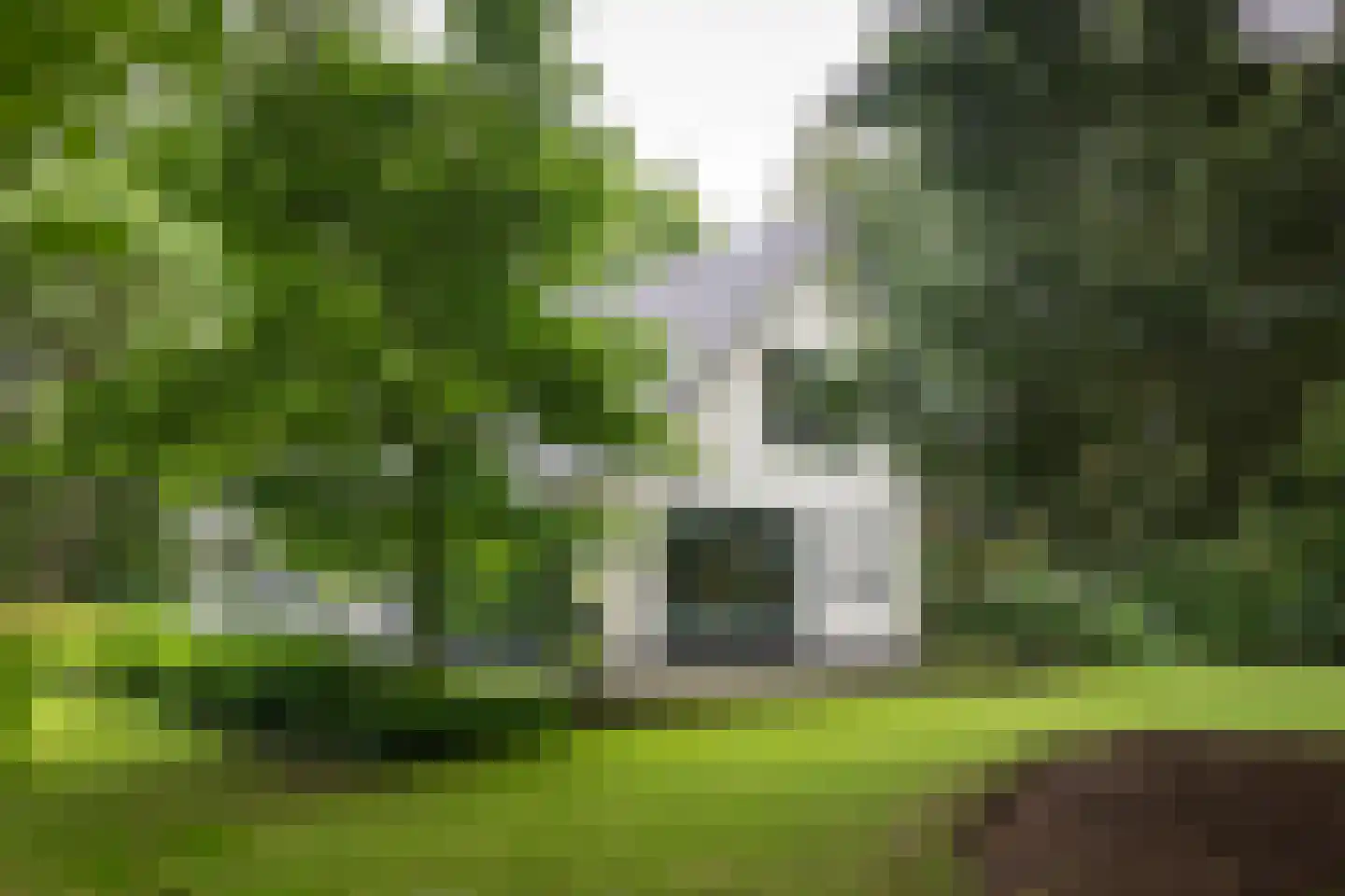 Burgemeester Van der Feltzlaan 39 Epe thumbnail 37