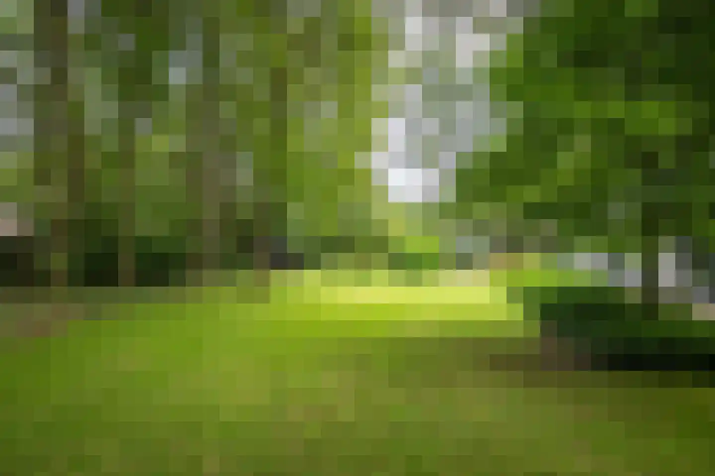 Burgemeester Van der Feltzlaan 39 Epe thumbnail 39