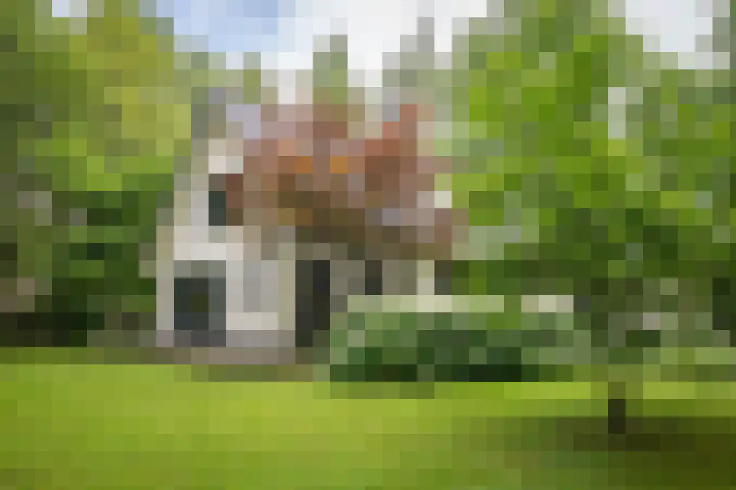 Burgemeester Van der Feltzlaan 39 Epe thumbnail 41