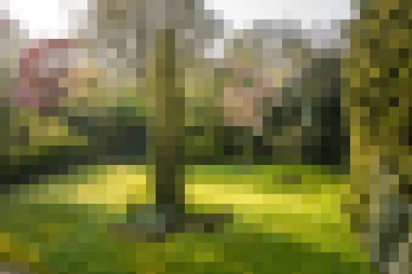 Burgemeester van der Feltzweg 14 Twello thumbnail 44